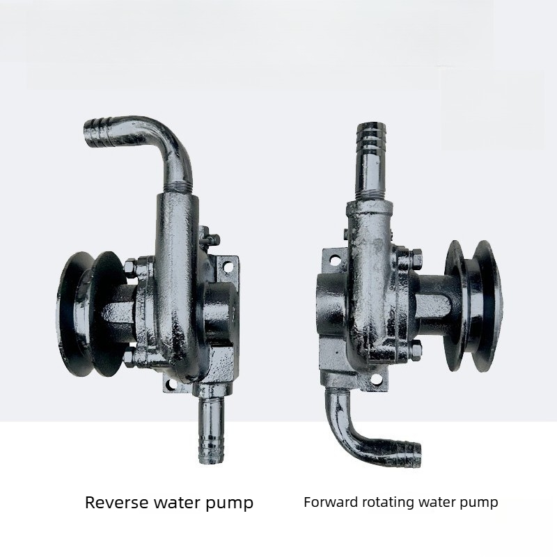 Shifeng Wuzheng Huaqing Tek Si - Diesel Water Pump incelemesi ve fiyatı